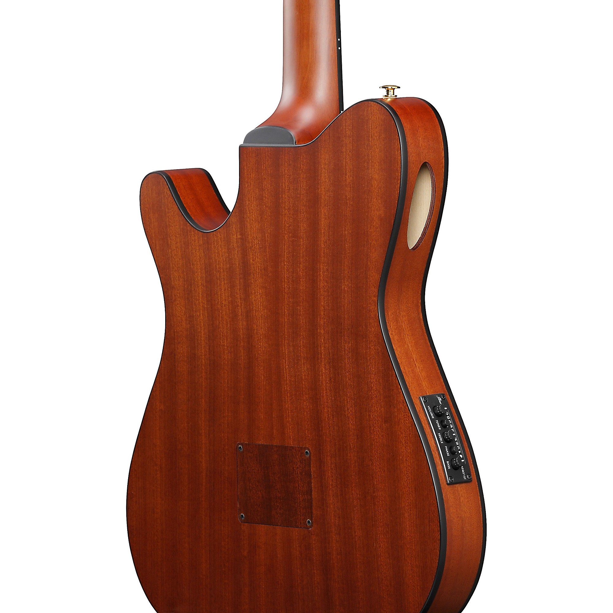 Ibanez FRH10N Nylon-String Acoustic-Electric Guitar | Music & Arts