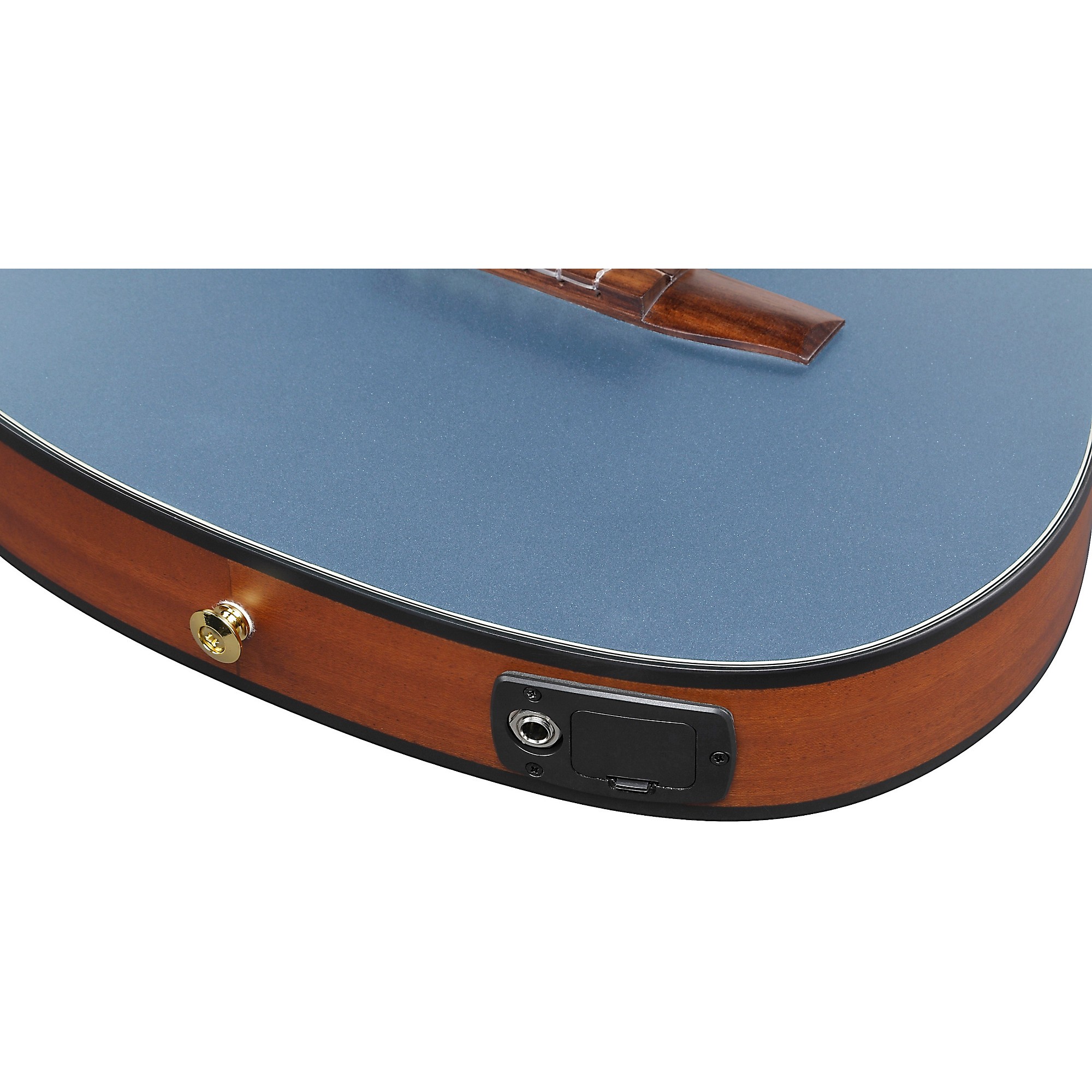 Ibanez FRH10N Nylon-String Acoustic-Electric Guitar | Music & Arts