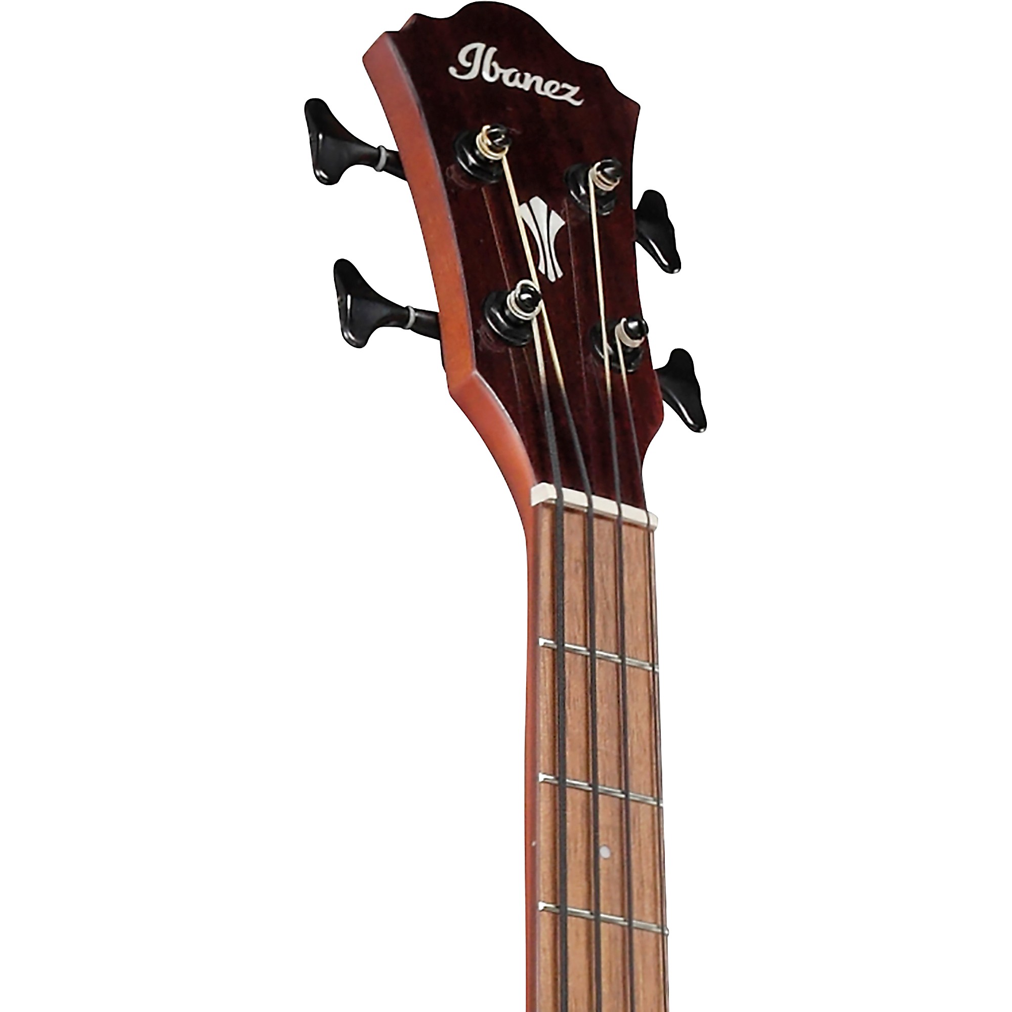 Ibanez AEGB30E Spruce-Sapele Acoustic-Electric Bass Guitar