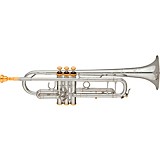 Special Rebates Band & Orchestra Instruments