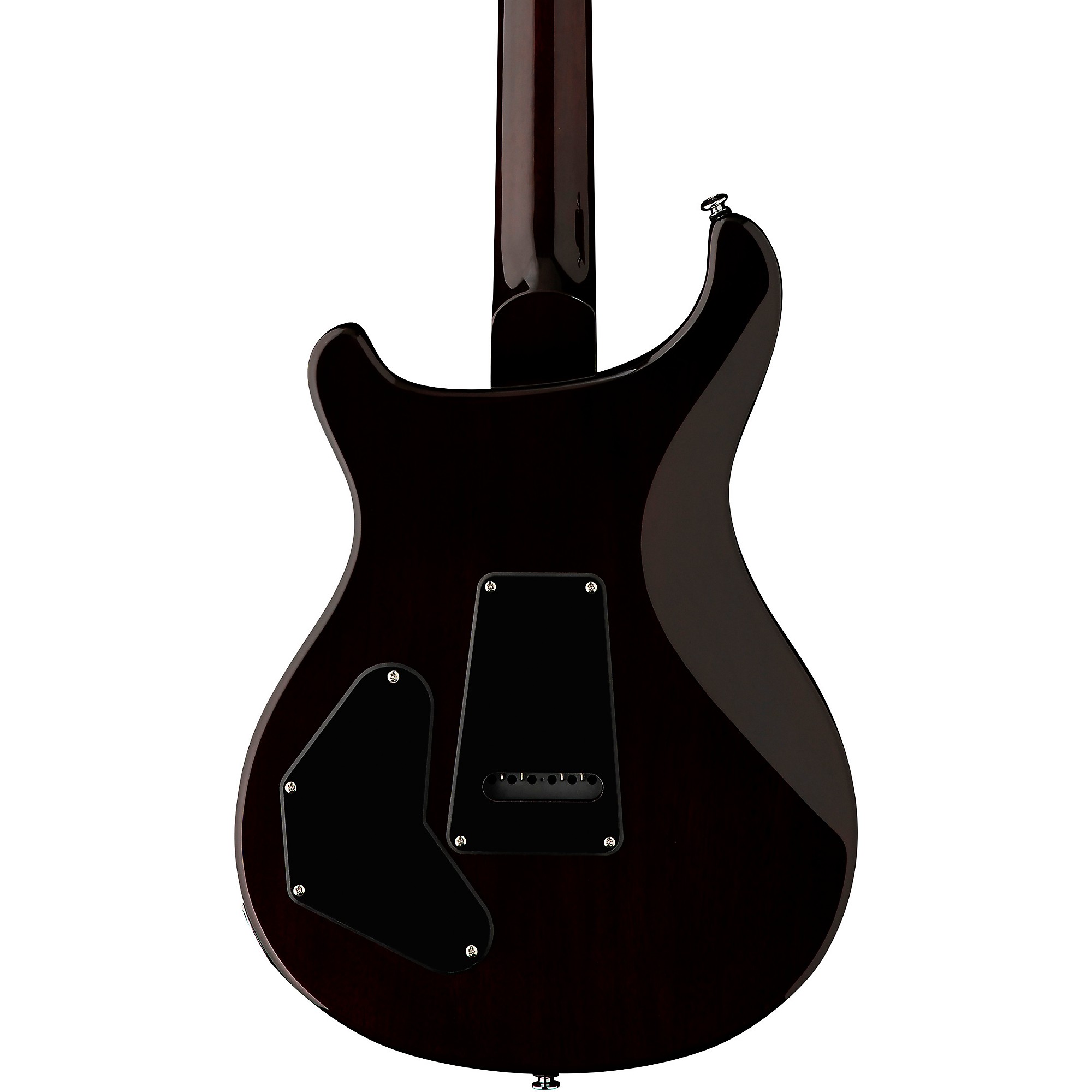 PRS SE DGT Birds Electric Guitar | Music & Arts