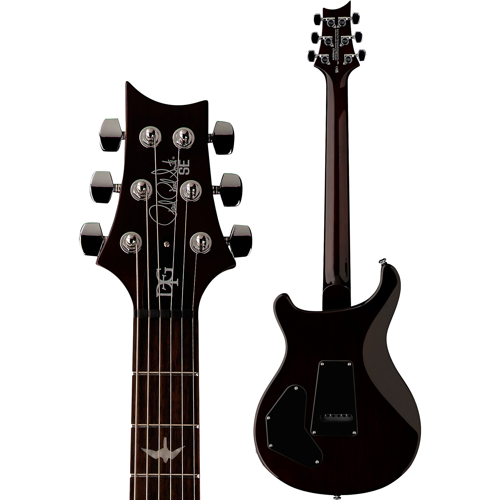 PRS SE DGT Birds Electric Guitar | Music & Arts