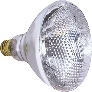 American DJ LL-PAR 38 Lamp Bulb