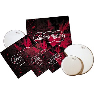 Ludwig LW6100 Silver Dot Drum head