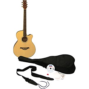 eMedia Learn to Play Guitar Acoustic Guitar Pack