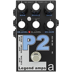 AMT Electronics Legend Amp Series II P2