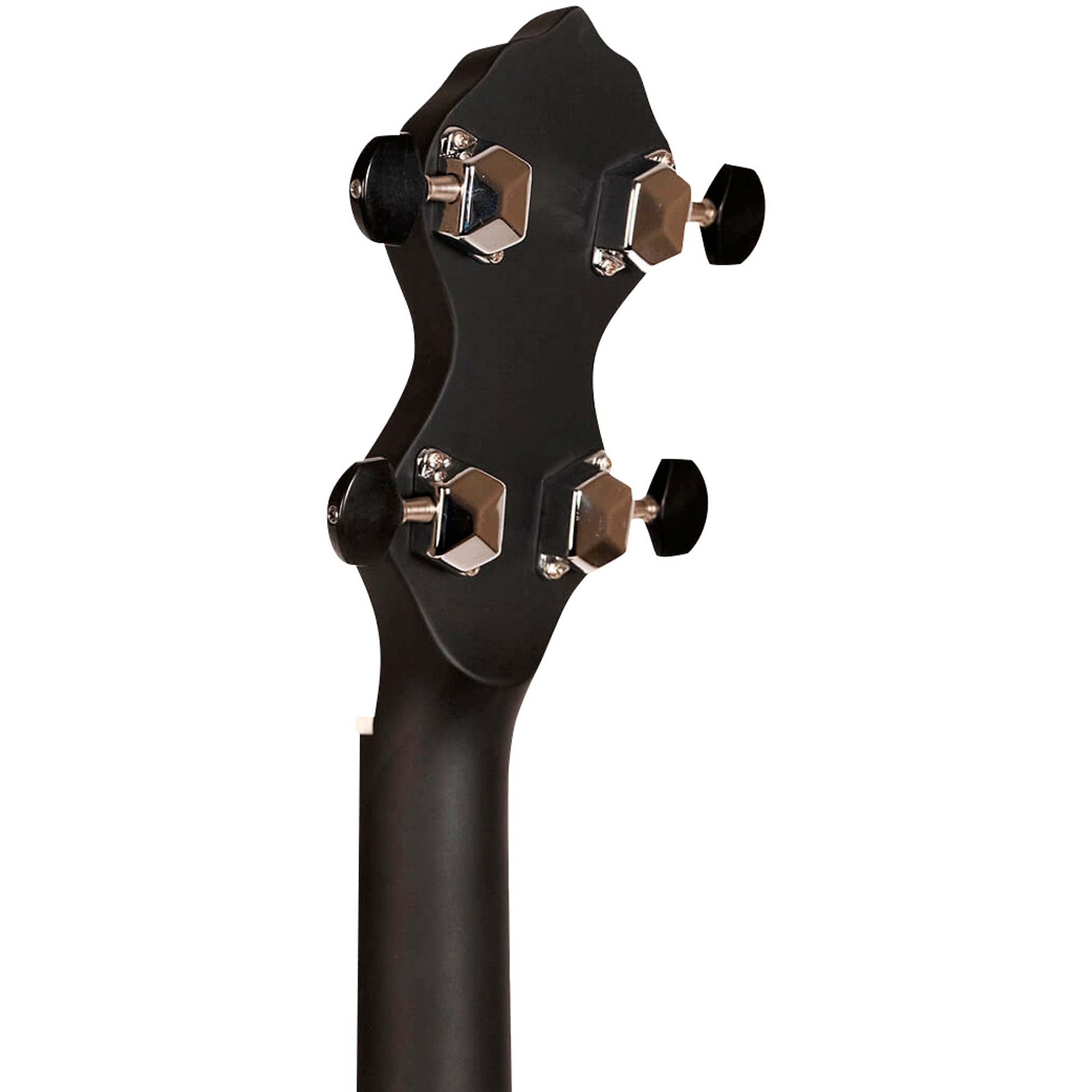 Gold Tone AC-12 12