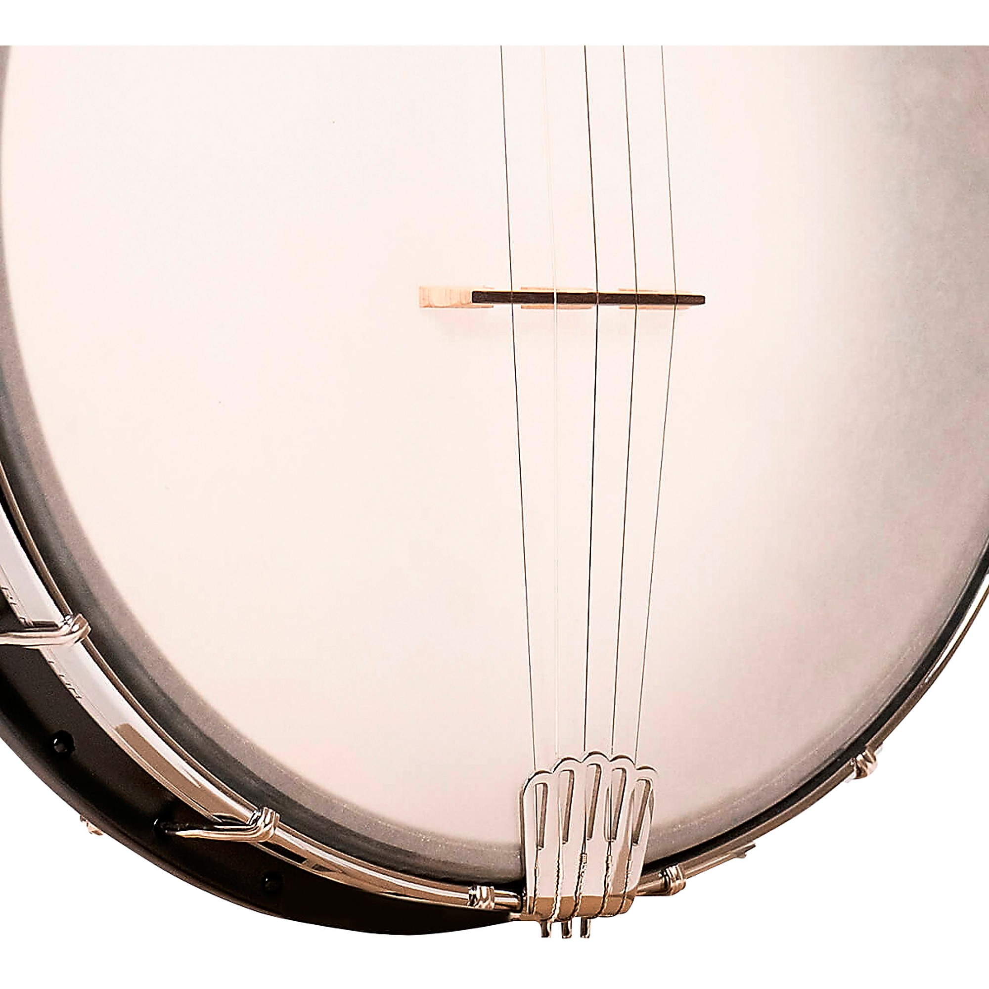 Gold Tone AC-12 12