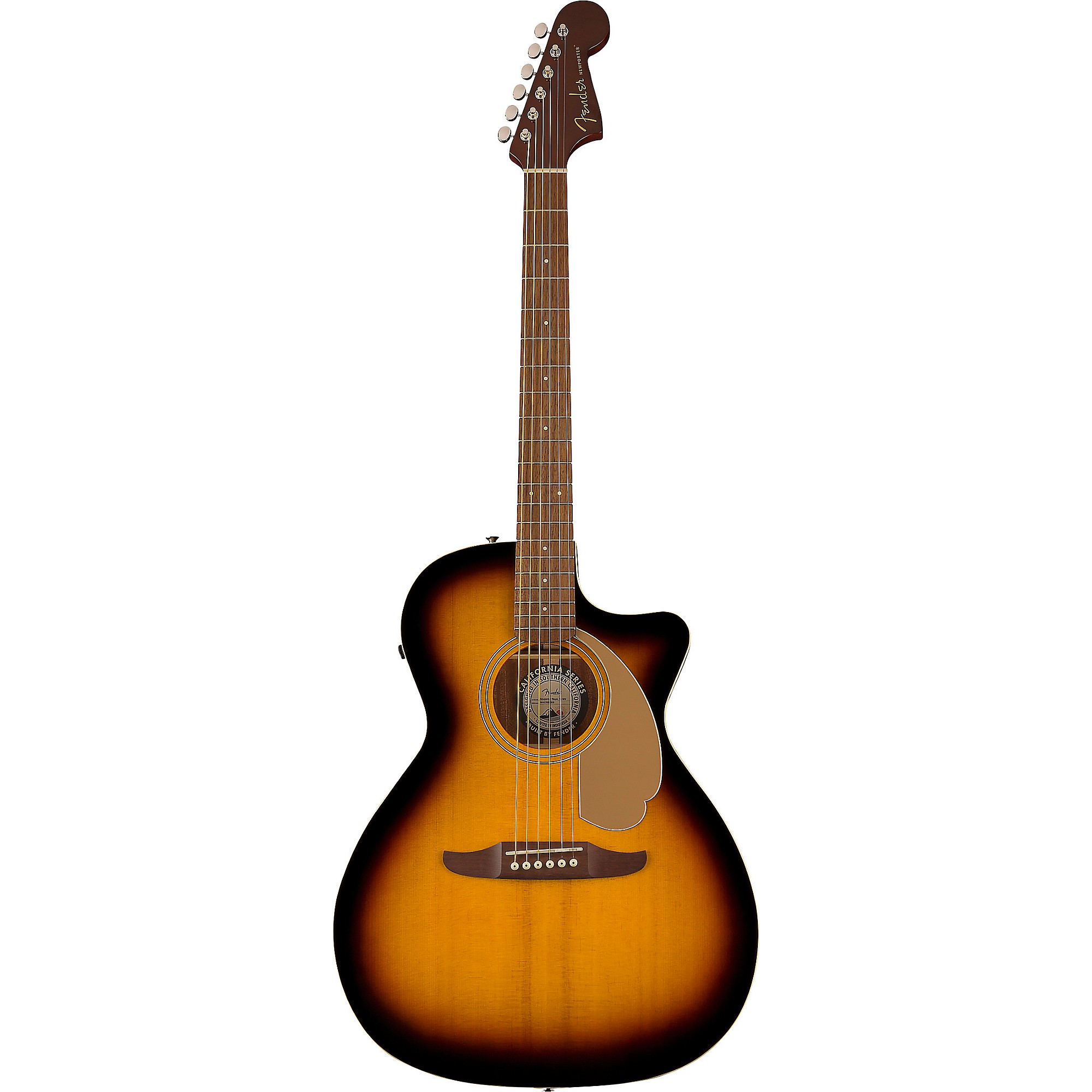 Fender Newporter Player アコースティックギター初心者12点