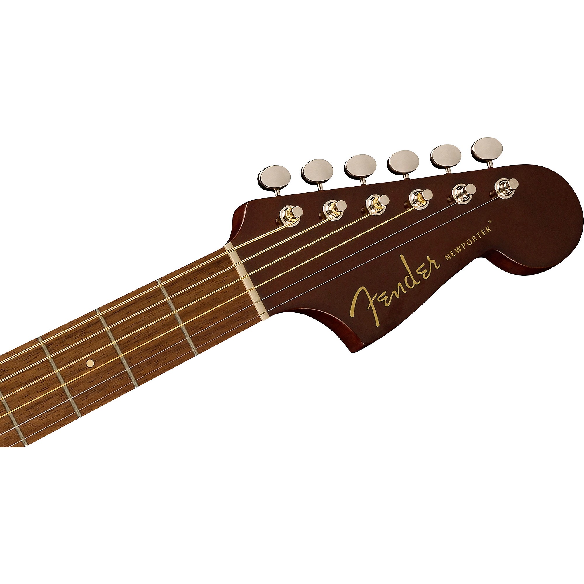 Fender Newporter Player アコースティックギター初心者12点