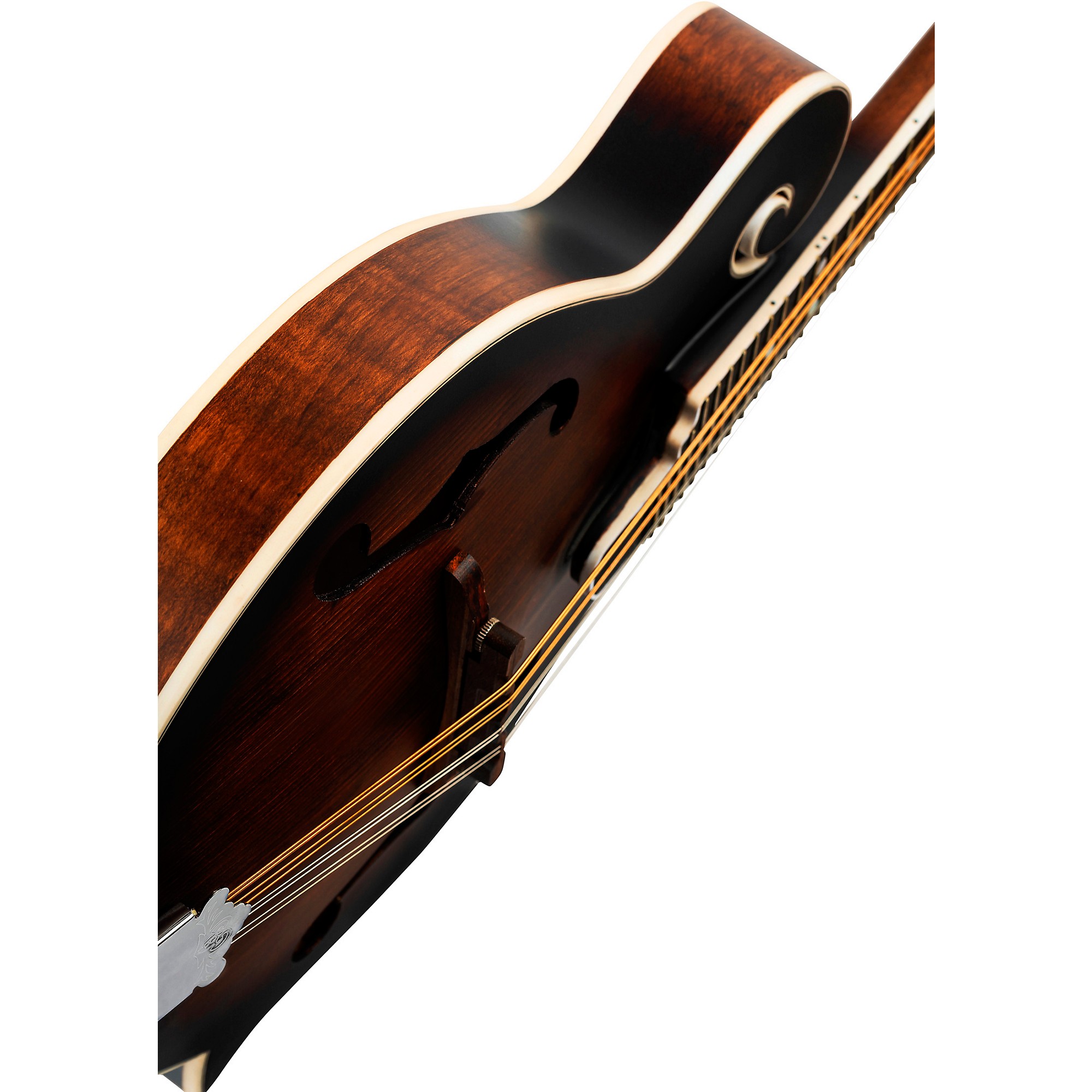 GMIS111○domani / ドマーニ Morganton モーガントン サ Amazon.com: Morgan Monroe, 5-String Mandolin, Vintage