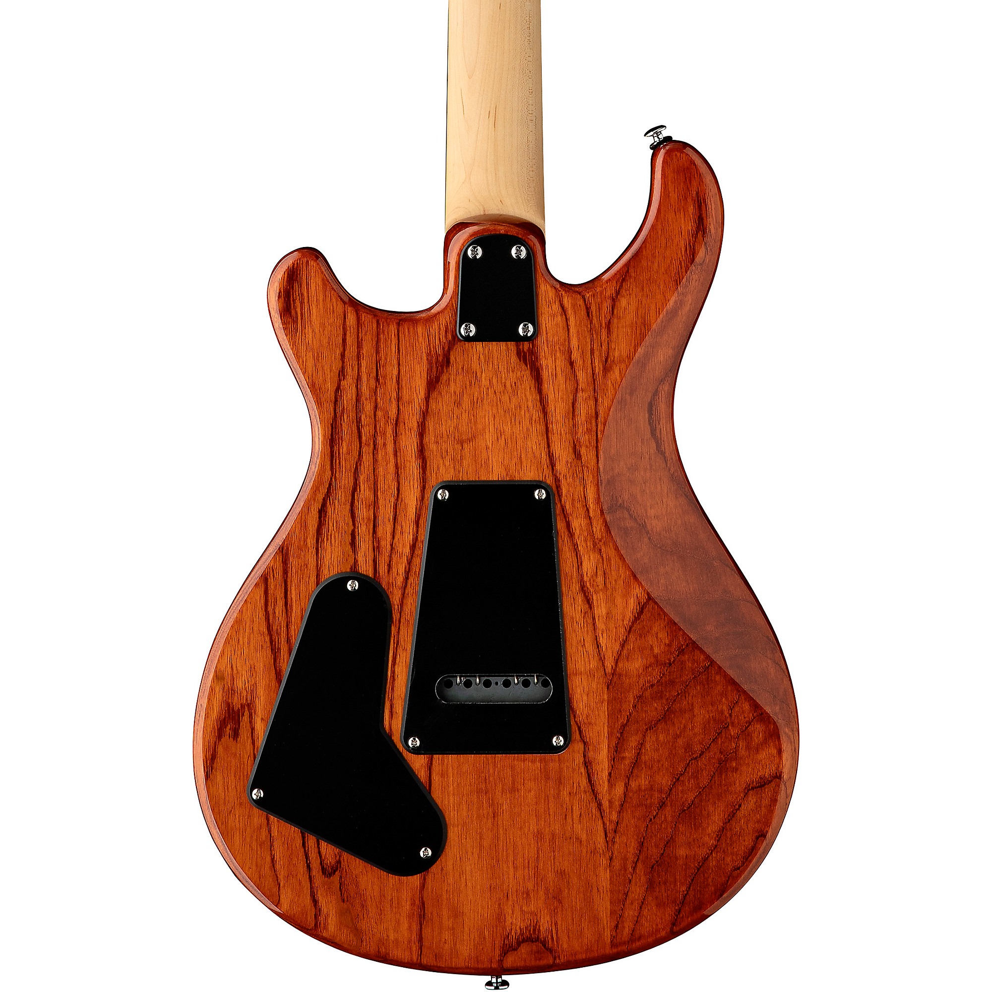 PRS SE Swamp Ash Special Electric Guitar | Music & Arts