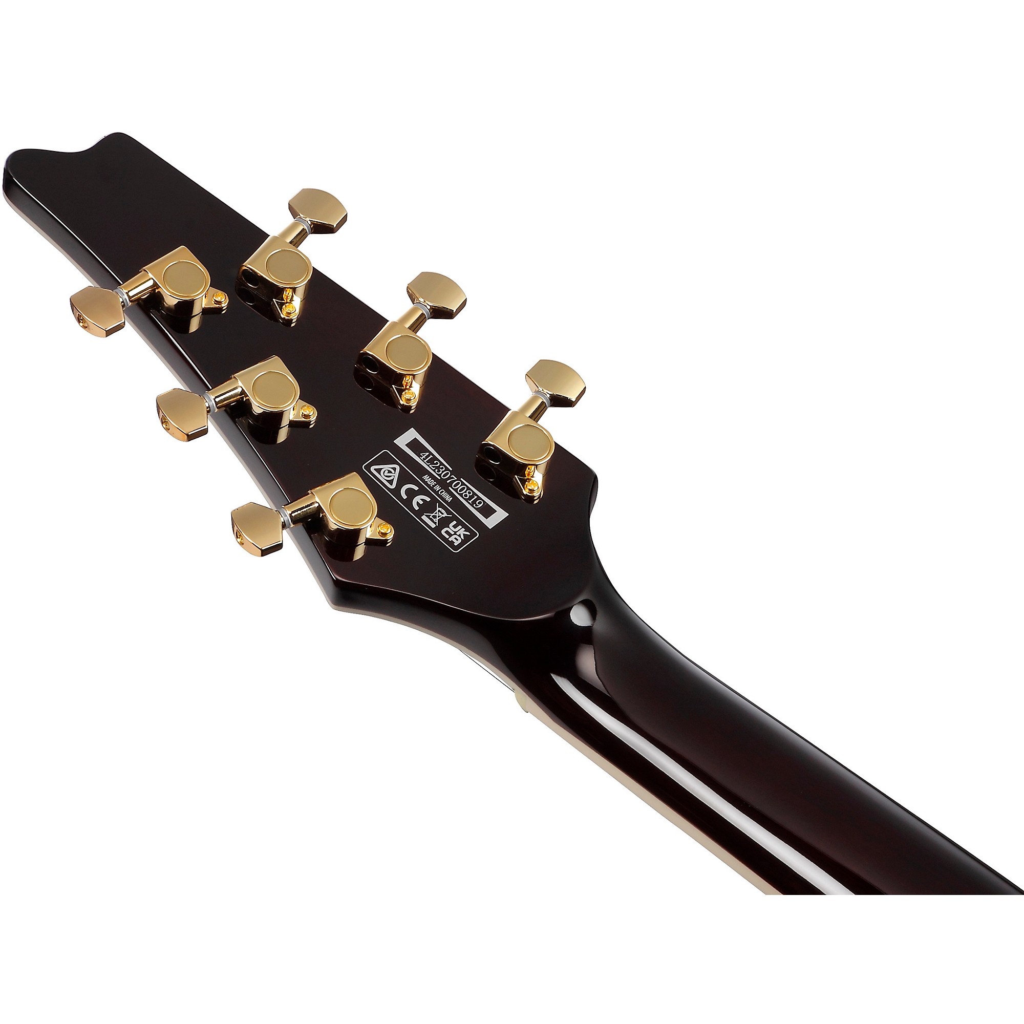 Ibanez Iceman Electric Guitar | Music & Arts