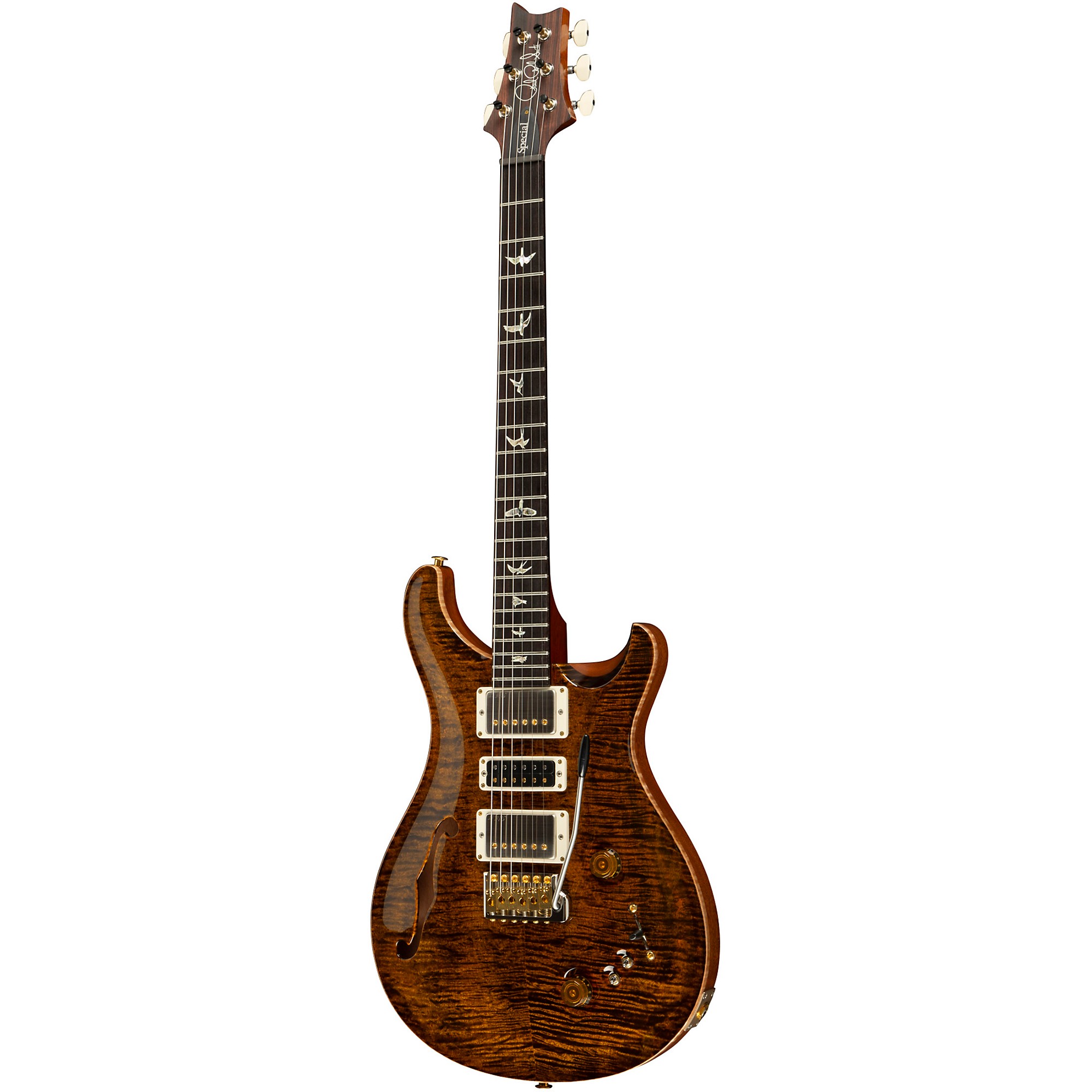 PRS Special Semi-Hollow 10-Top Electric Guitar | Music & Arts
