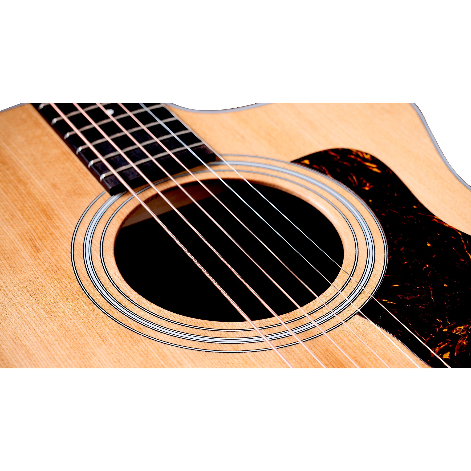 Taylor 214ce Grand Auditorium Acoustic-Electric Guitar - | Music