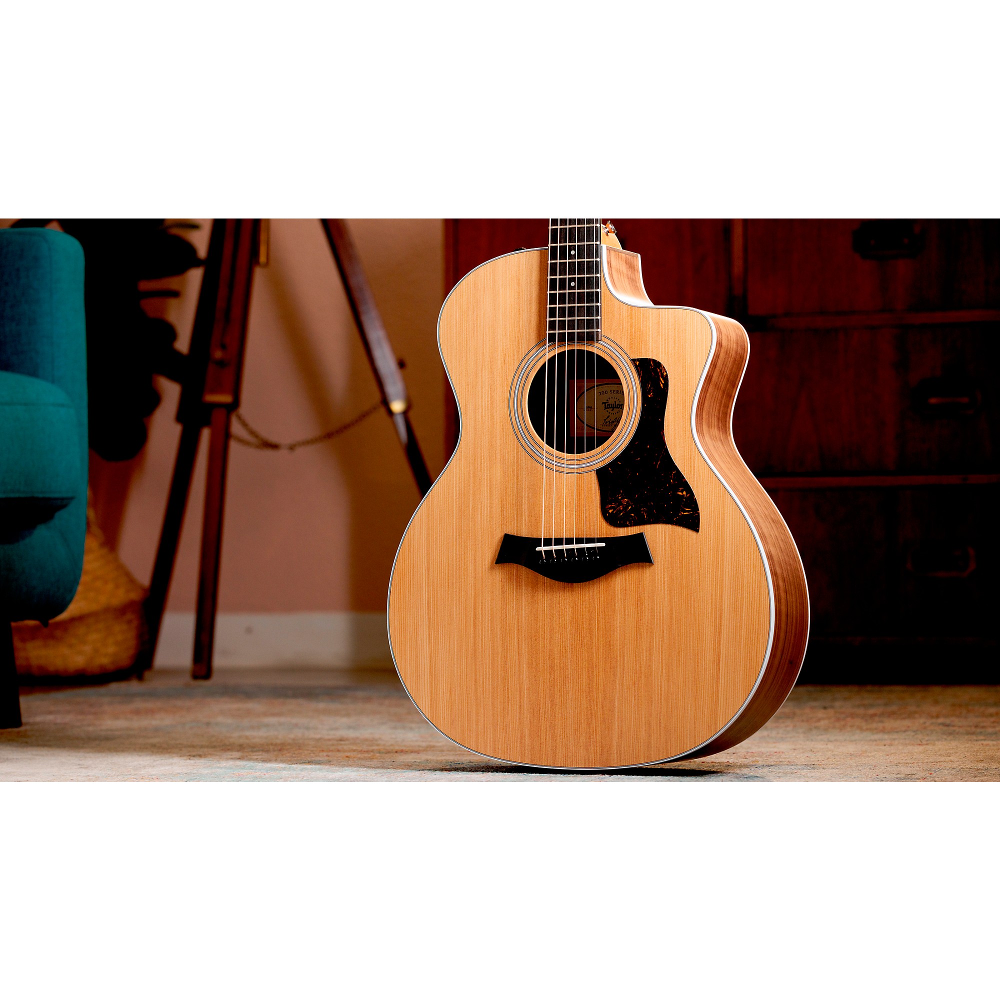 Taylor 214ce RW テイラー 【 そよら成田ニュータウン店