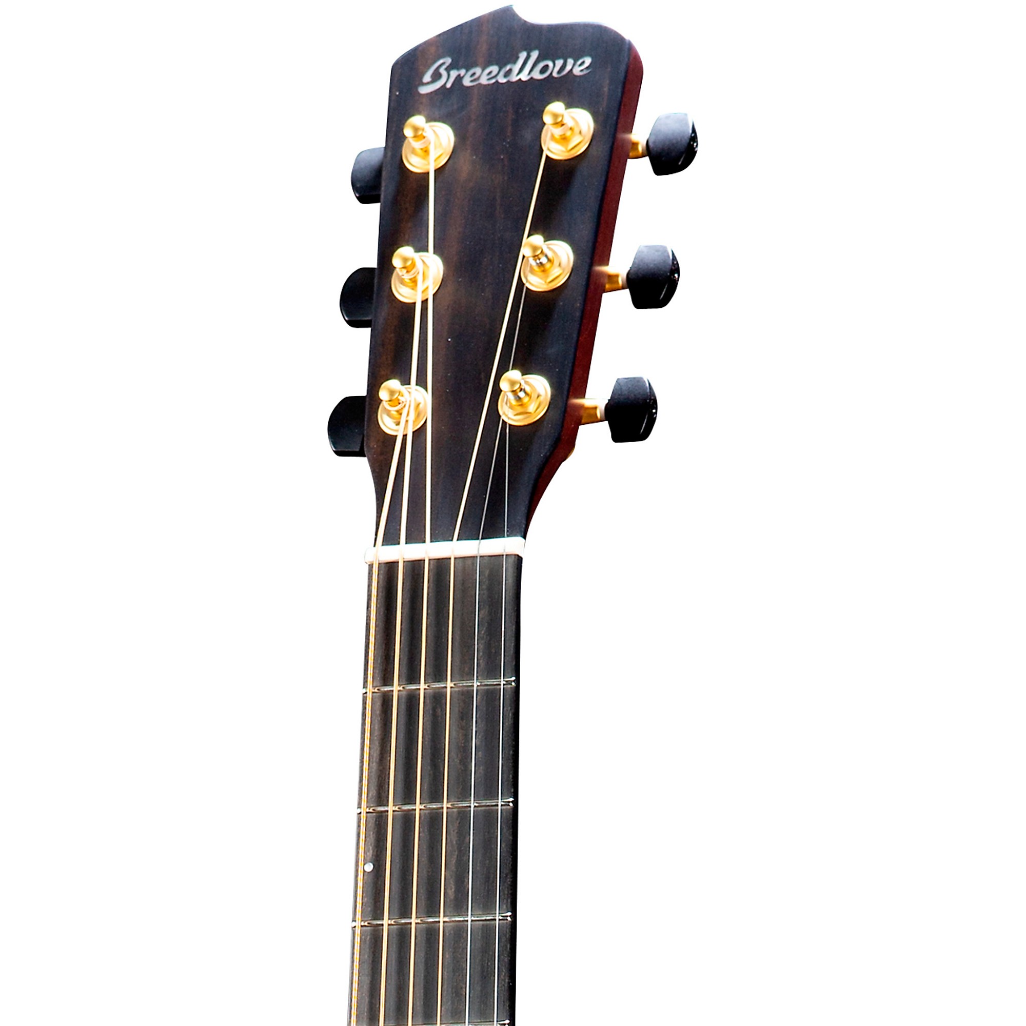 Breedlove Oregon All-Myrtlewood CE Concertina Acoustic-Electric