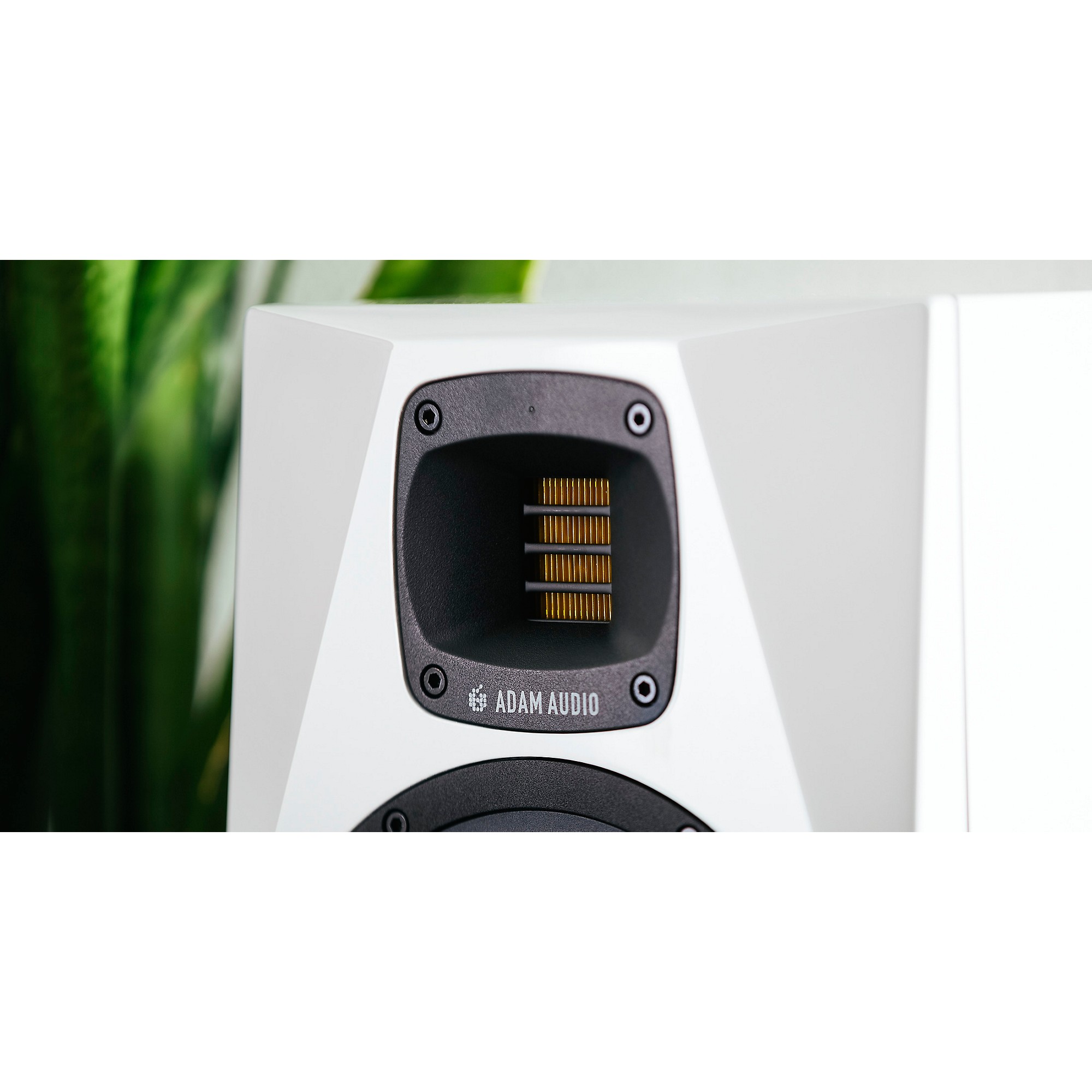 A4V Nearfield Monitor | ADAM Audio Shop