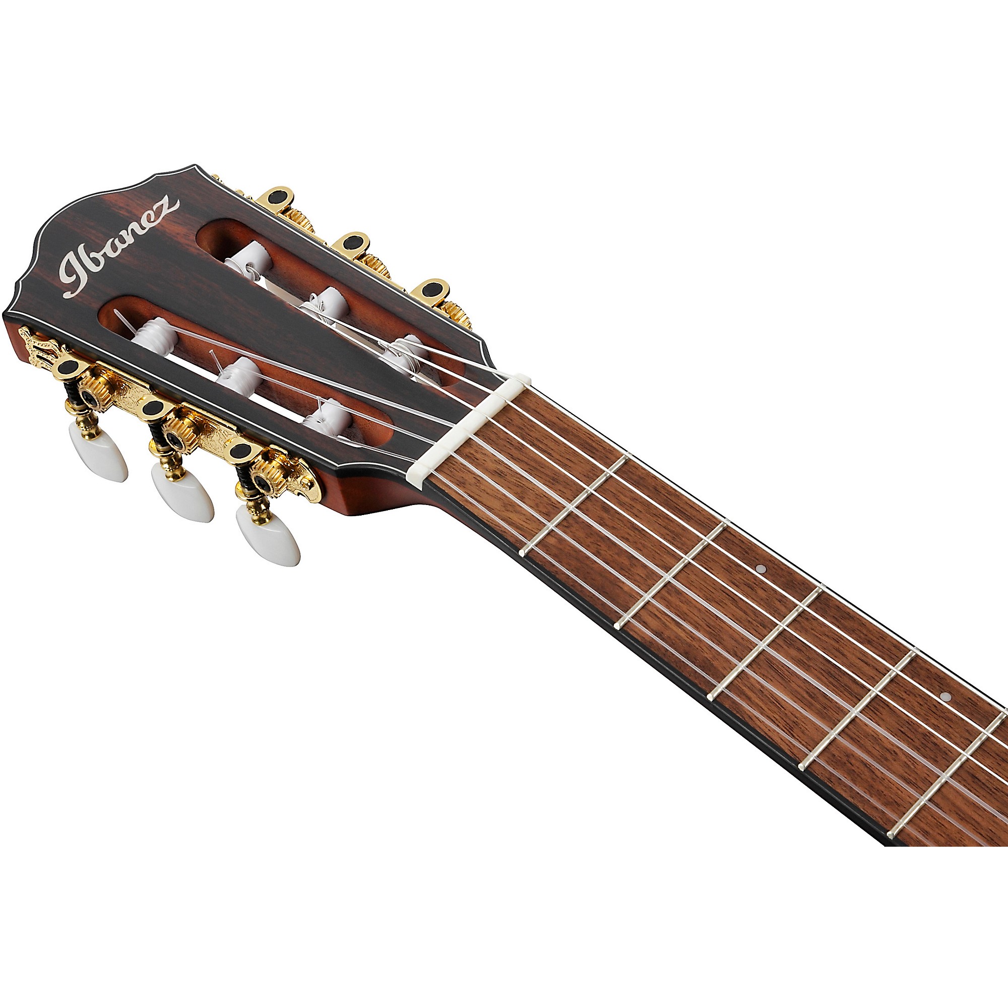 Ibanez FRH10N Acoustic-Electric Nylon String Guitar, Indigo