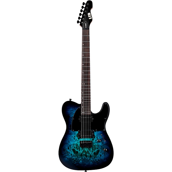 ESP LTD TE-200DX Electric Guitar | Music & Arts