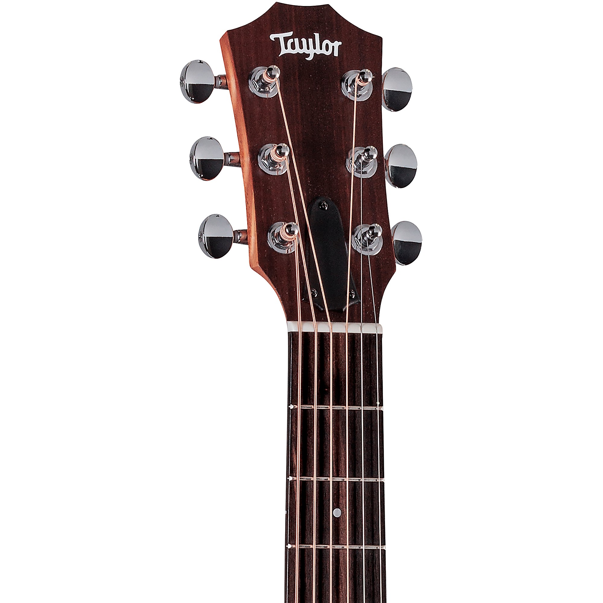 taylor-features-shapes-gs-mini