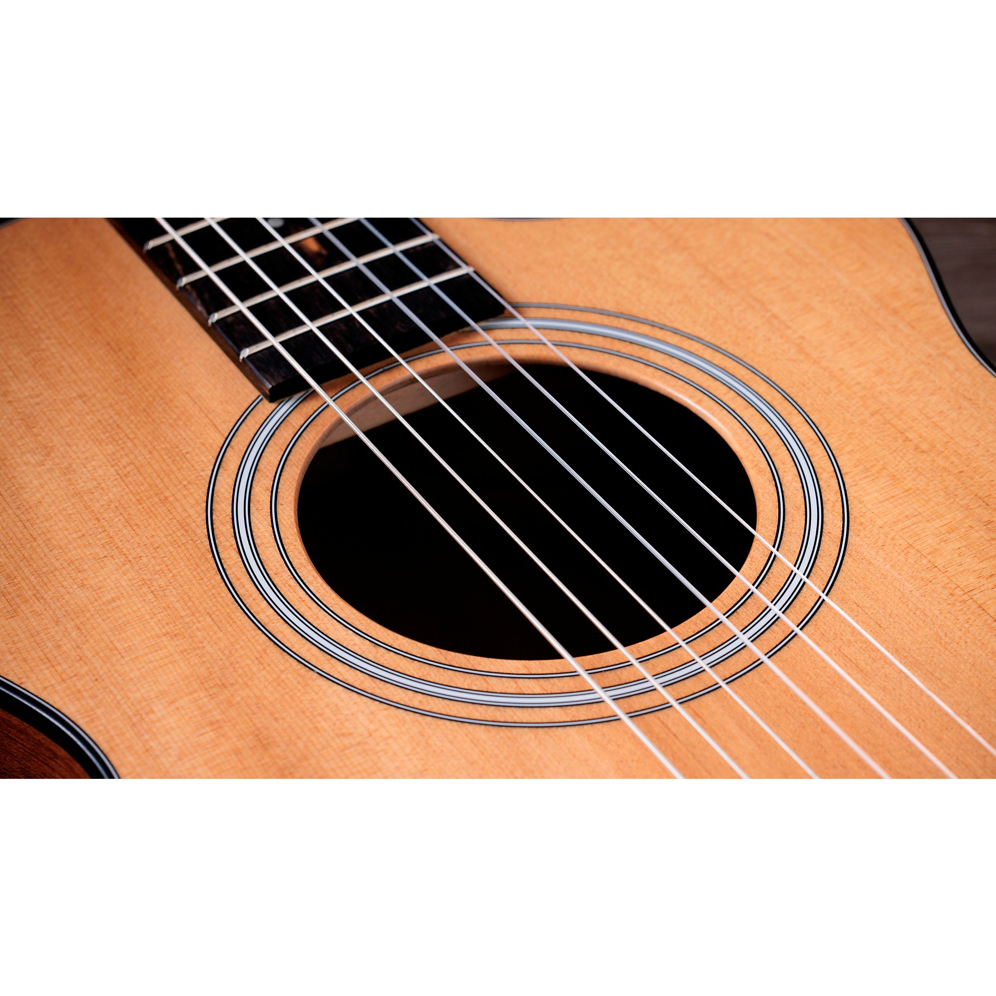 Taylor 112ce-N Grand Concert Nylon-String Acoustic-Electric Guitar