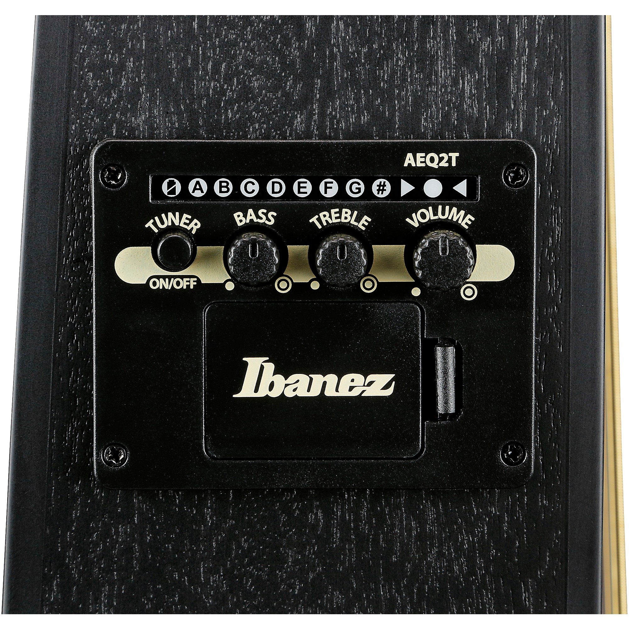 Ibanez TCY621 Talman Acoustic-Electric Guitar | Music & Arts