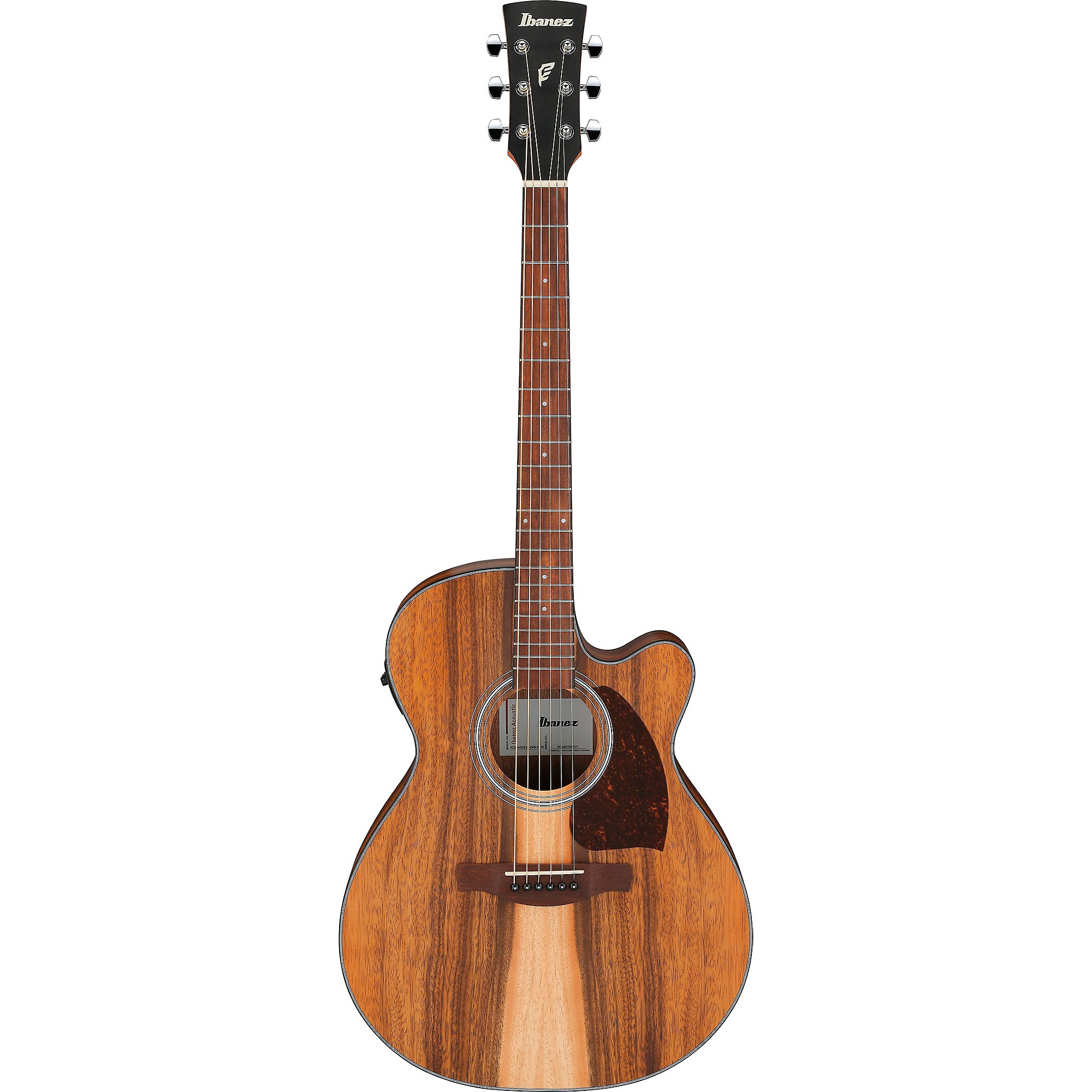 Ibanez PC50WSCE Grand Concert Acoustic-Electric Guitar | Music & Arts