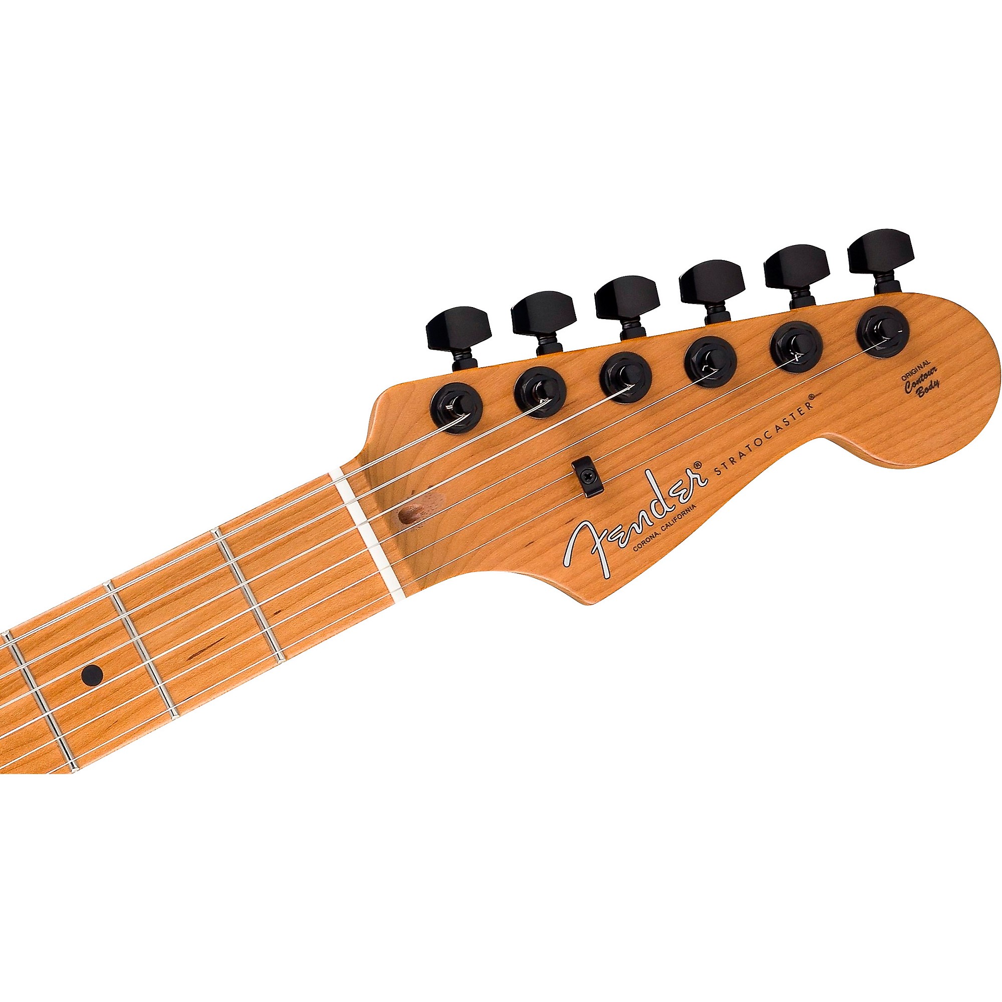 Fender American Professional II Stratocaster HSS HT Roasted