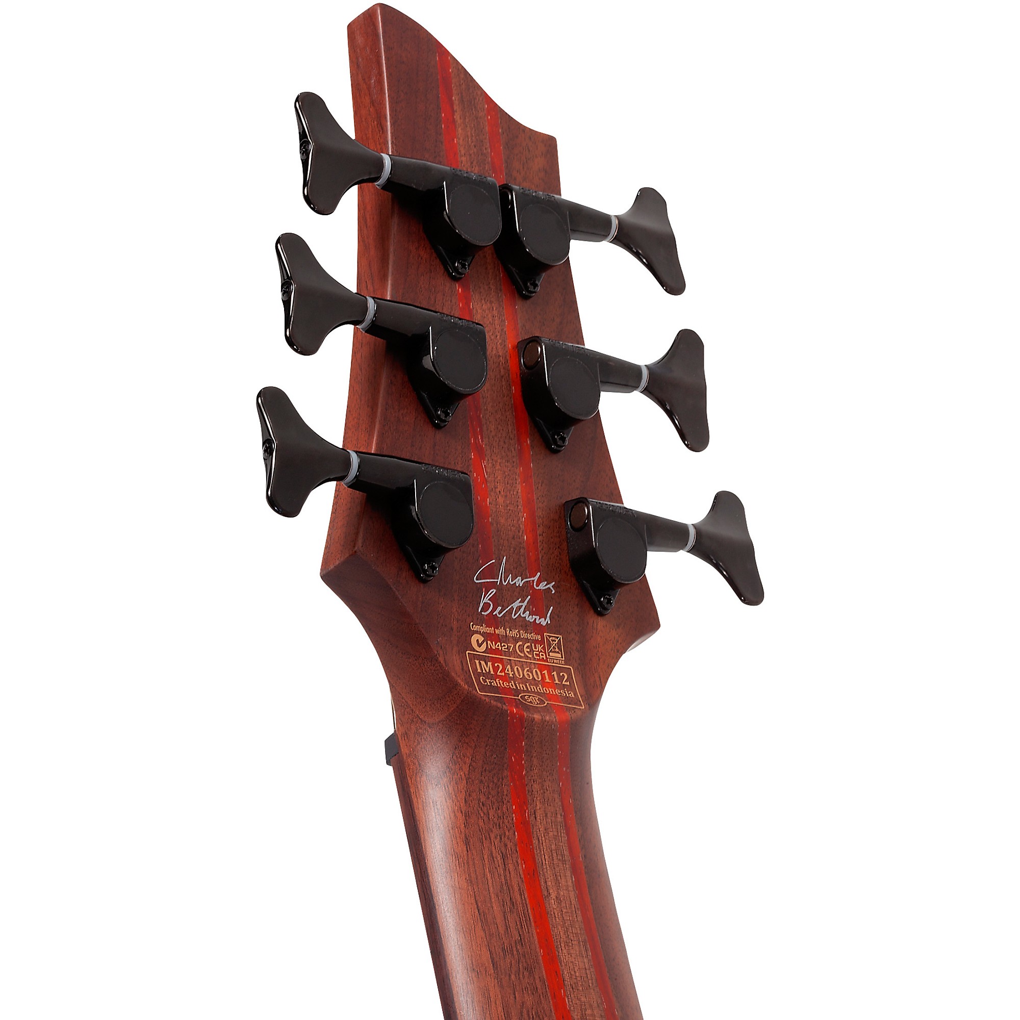 Schecter Guitar Research Charles Berthoud CB-6 6-String Electric