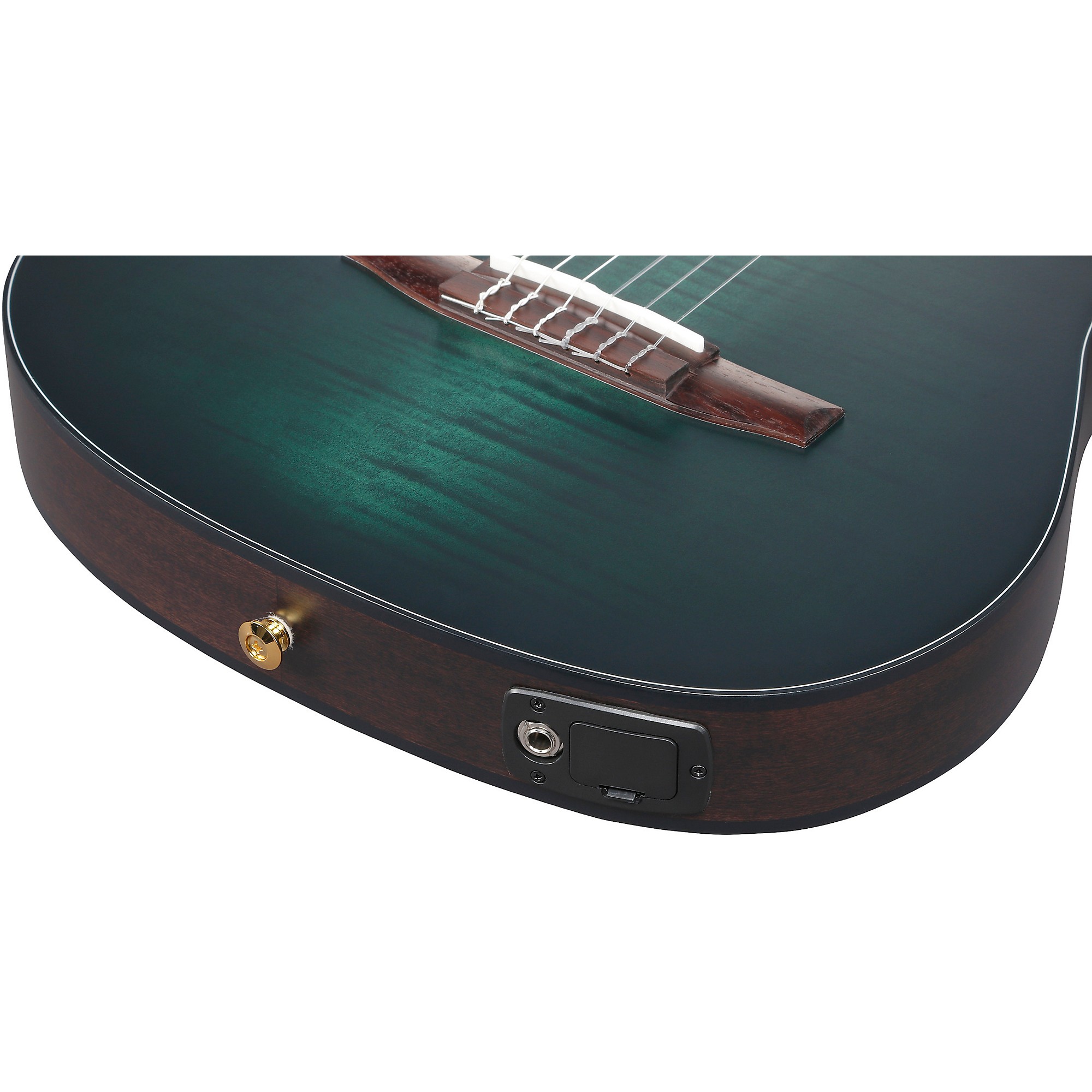 Ibanez FRH20FMN Flamed Maple Top Nylon-String Acoustic-Electric