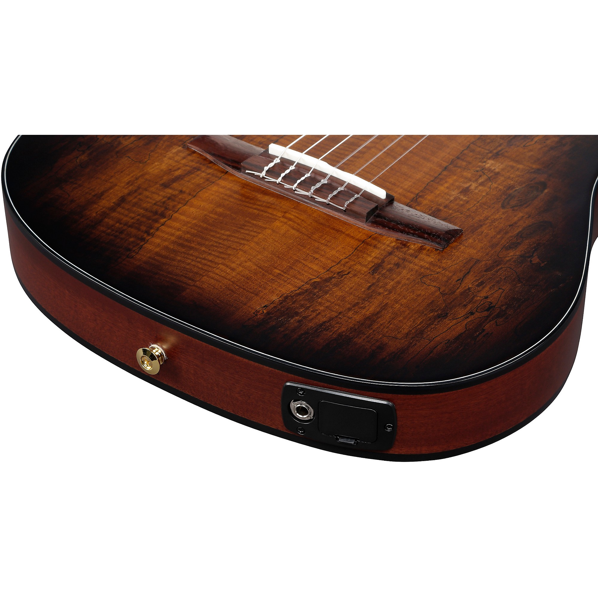 Ibanez FRH20SMN Spalted Maple Top Nylon-String Acoustic-Electric