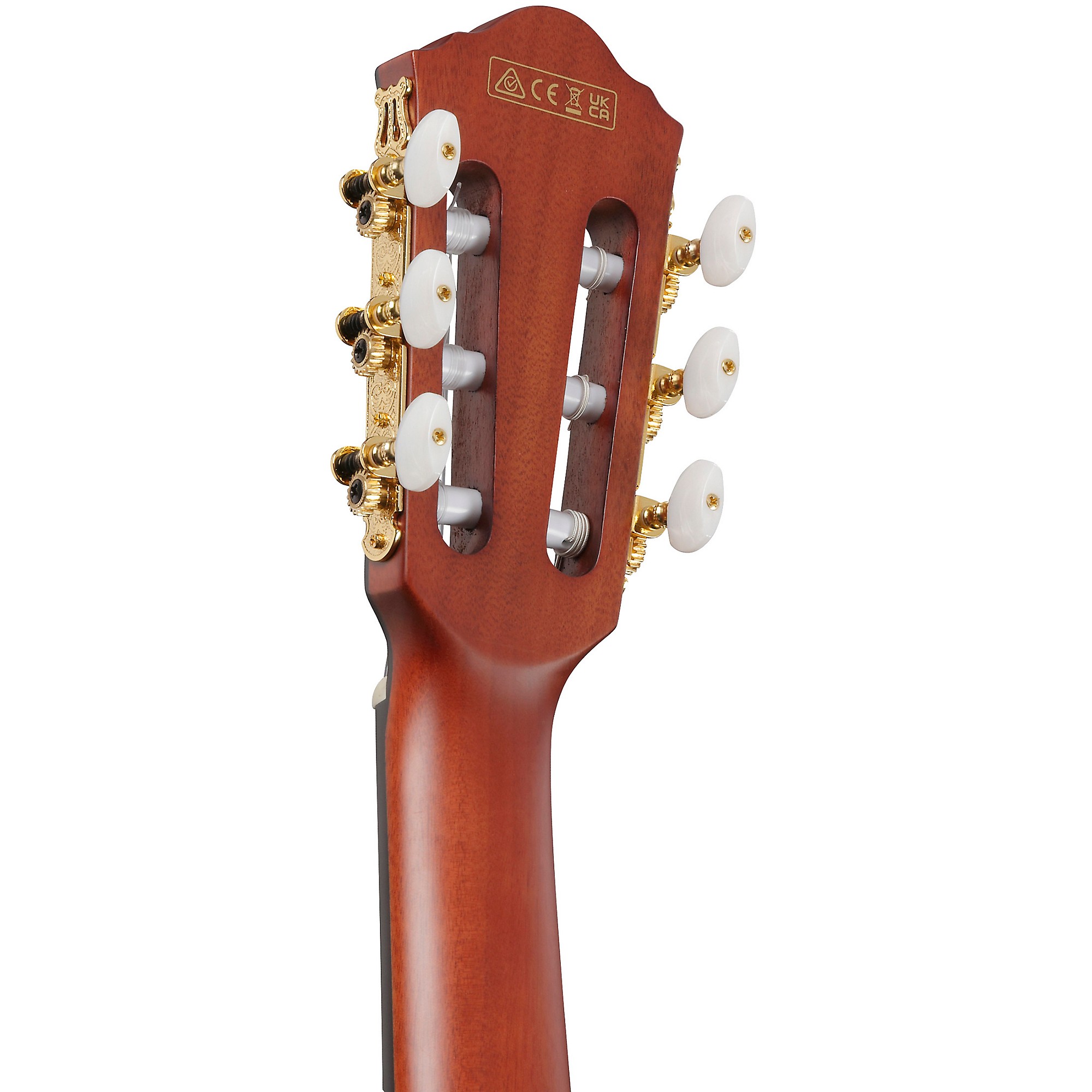 Ibanez FRH20SMN Spalted Maple Top Nylon-String Acoustic-Electric