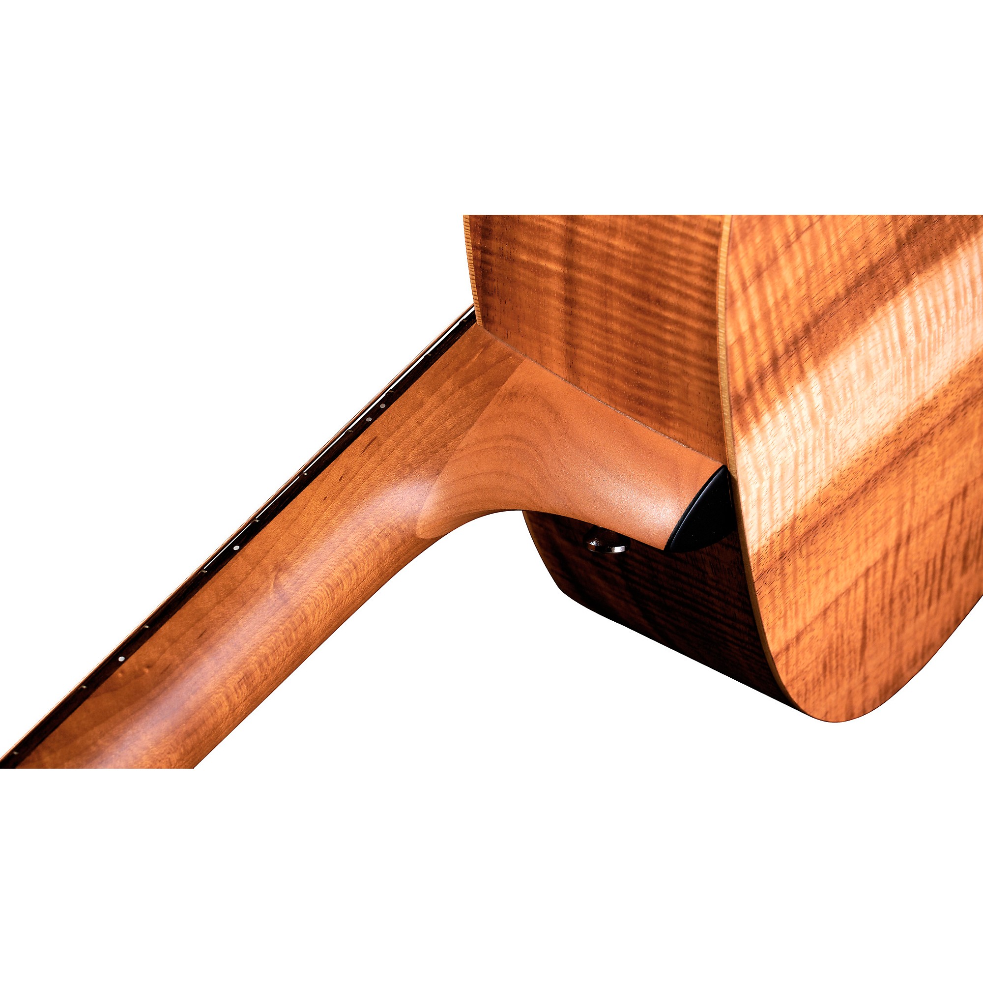 Fisherman さんTaylor Academy 10e 未使用品 Fisherman さんTaylor Academy 10e 未使用品 Taylor Academy 10e