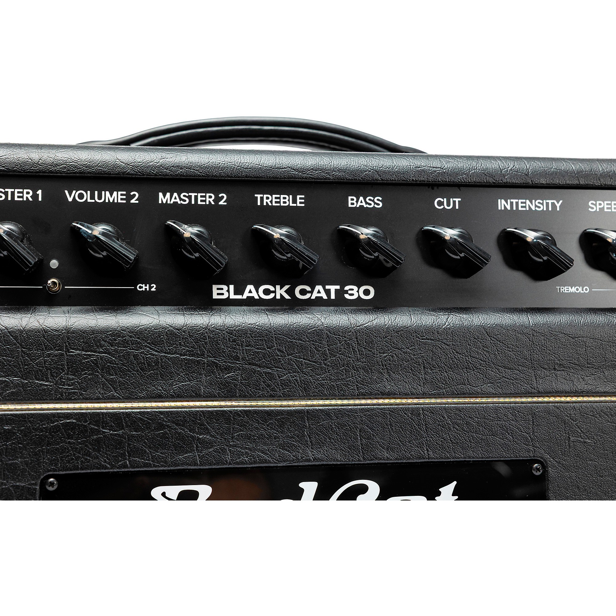 Bad Cat Mod Shop Black Cat 30 30W Guitar Amp Head by Mark Sampson