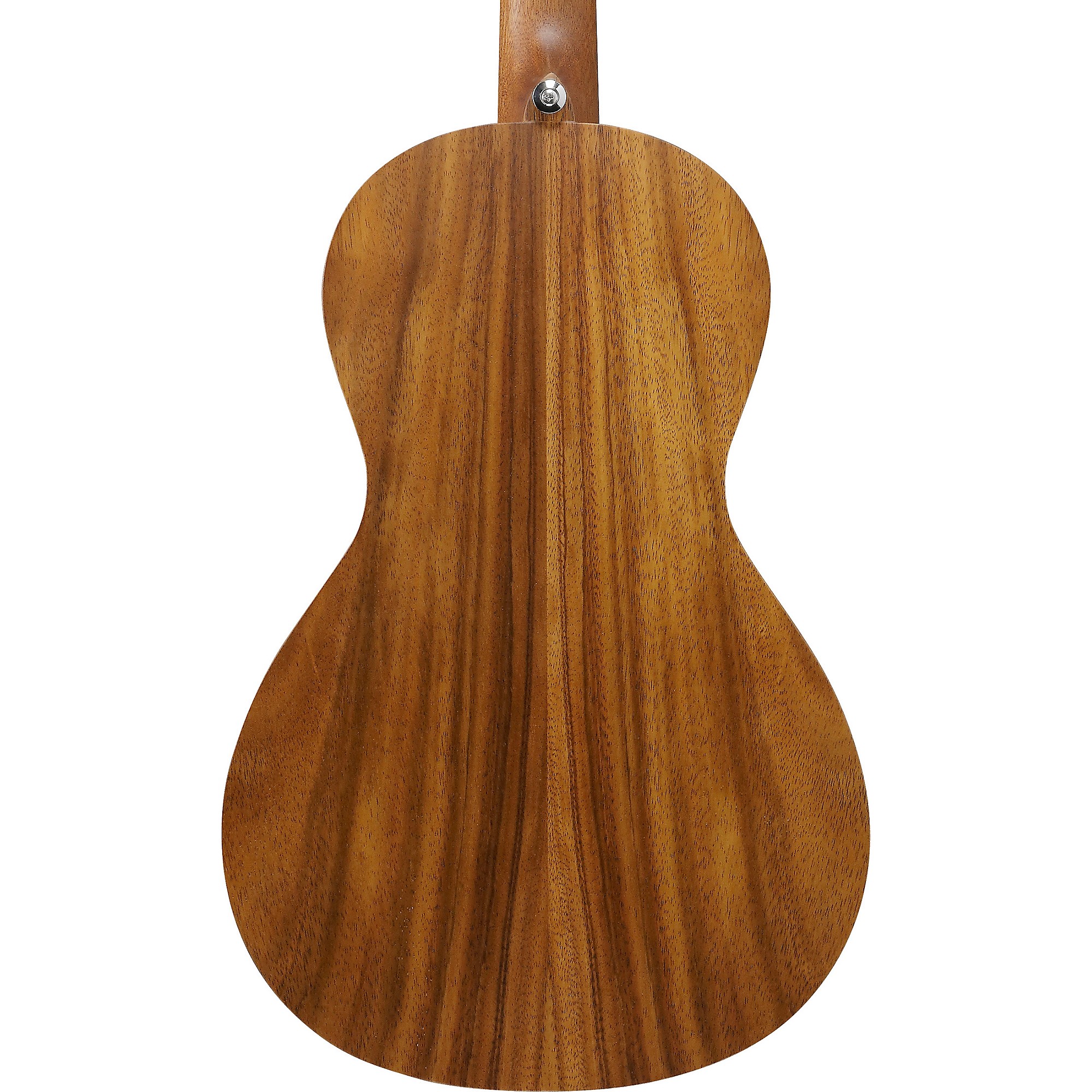 Ibanez PN2WS Parlor Acoustic Guitar - | Music & Arts