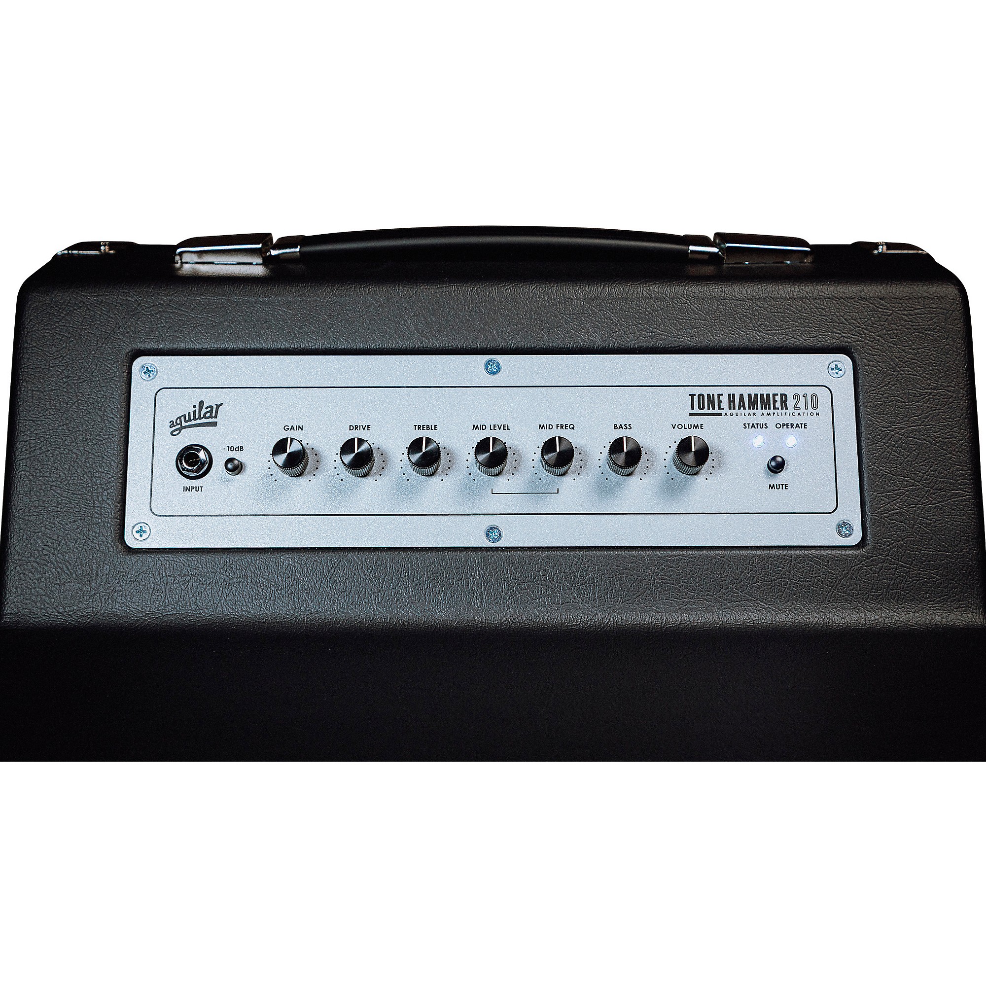 Aguilar Tone Hammer 210 300W 2x10