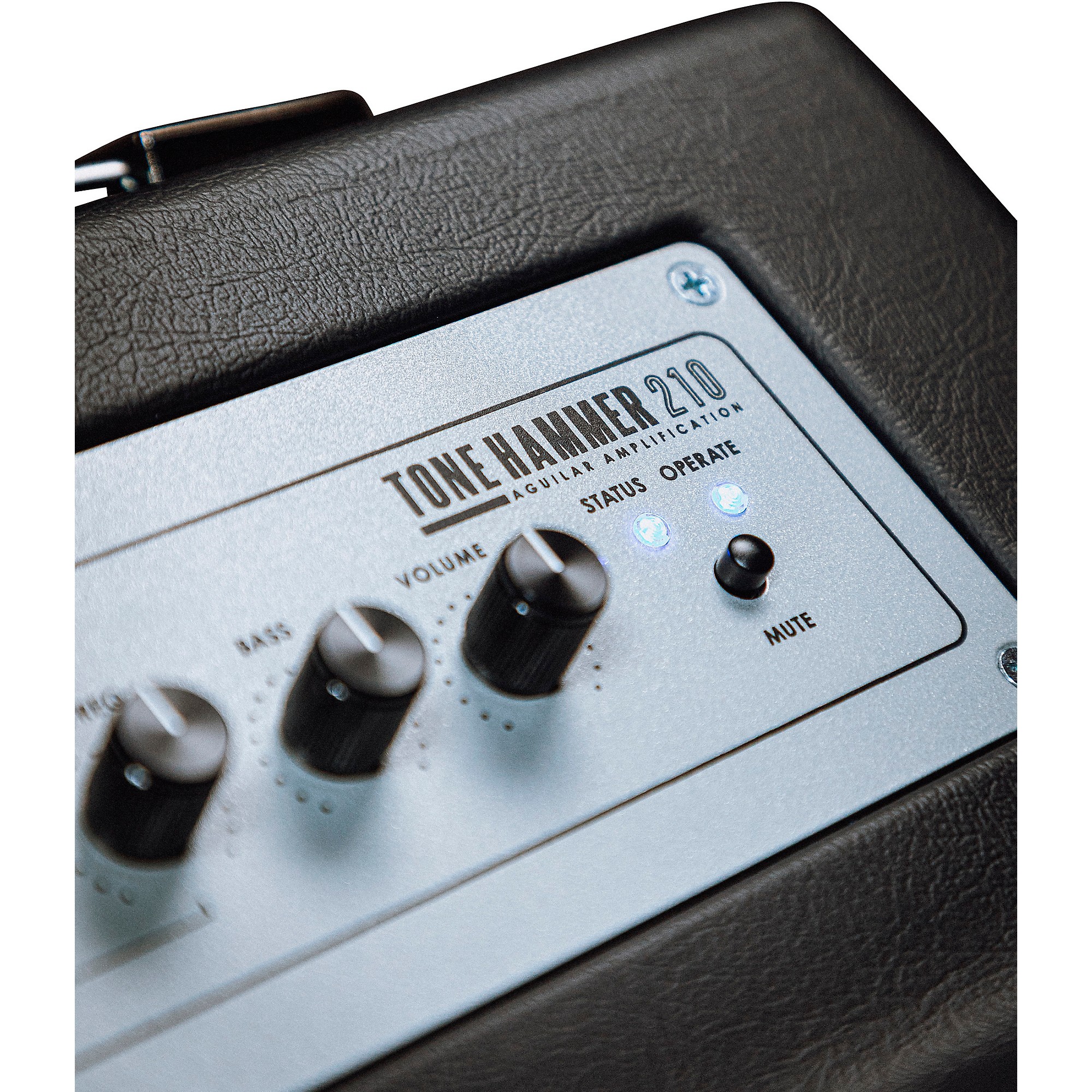 Aguilar Tone Hammer 210 300W 2x10