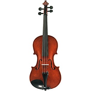 Stentor Messina Series Violin Outfit