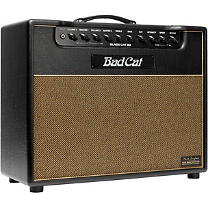 Bad Cat Mod Shop Black Cat 30 30W 1x12 Guitar Combo Amp by Mark Sampson