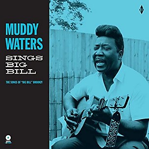 Muddy Waters - Sings Big Bill