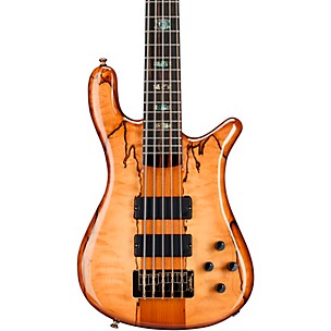Spector NS5 Roasted/Spalted/Macassar