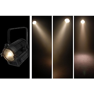 Chauvet Professional Ovation F-95WW