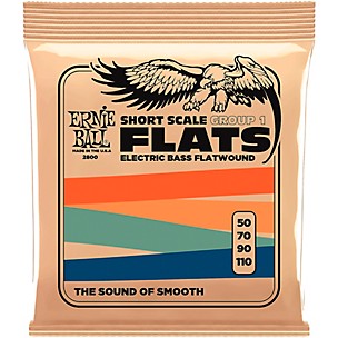Ernie Ball P02800 Short Scale Flatwound Group 1 Electric Bass Strings