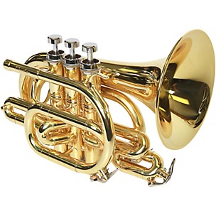 Phaeton PHTP-3000 Custom Series Bb Pocket Trumpet