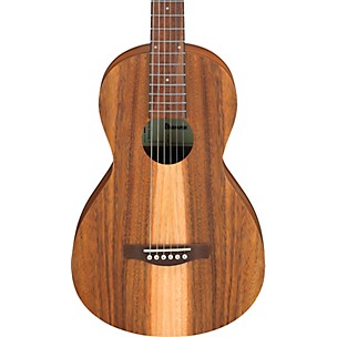 Ibanez PN2WS Parlor Acoustic Guitar -