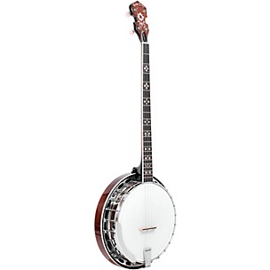 Gold Tone PS-250: Plectrum Special Banjo