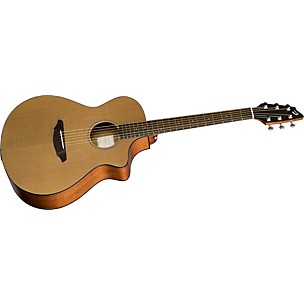 Passport C250/CMe Acoustic-Electric Guitar