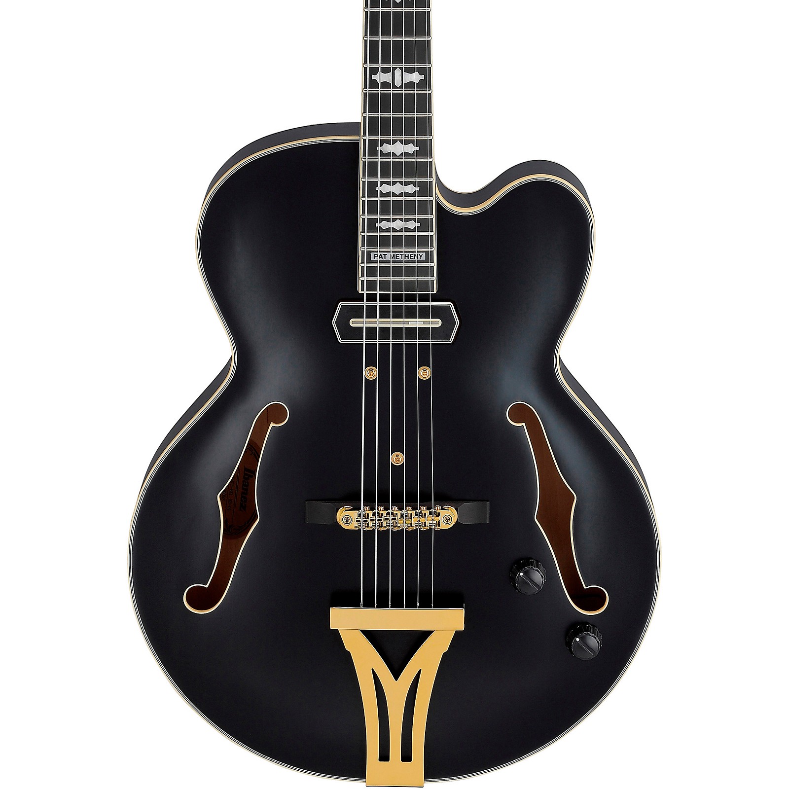 Ibanez Pat Metheny Signature Electric Guitar | Music & Arts