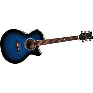 Performer E Acoustic-Electric Guitar